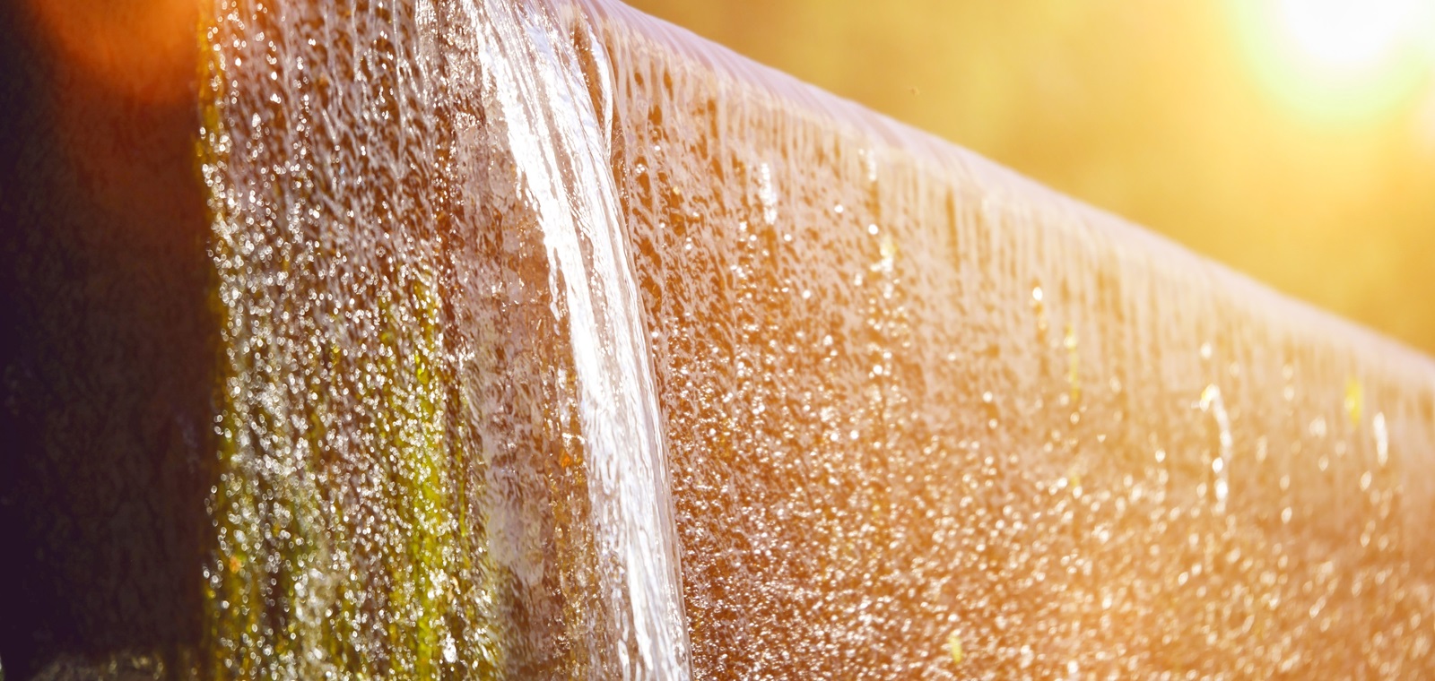 00980D掛牌滿三個月，連三月呈淨流入